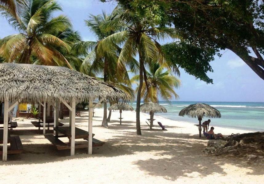 Le Ti'Paradise Anse Des Rochers Belle-Allée Exterior foto
