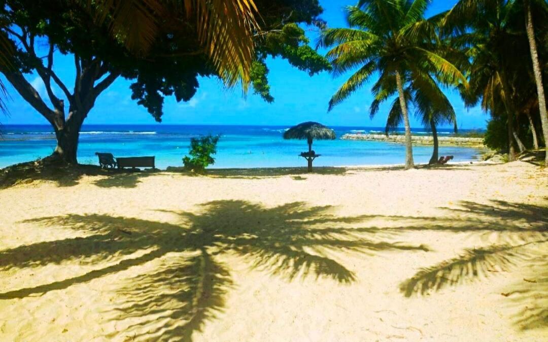 Le Ti'Paradise Anse Des Rochers Belle-Allée Exterior foto